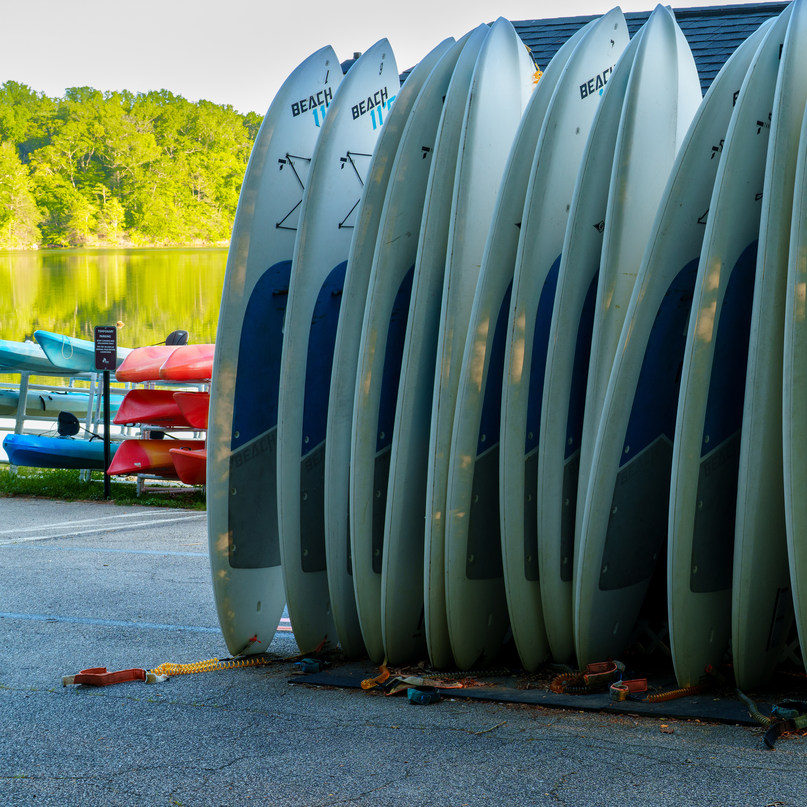 Paddleboards